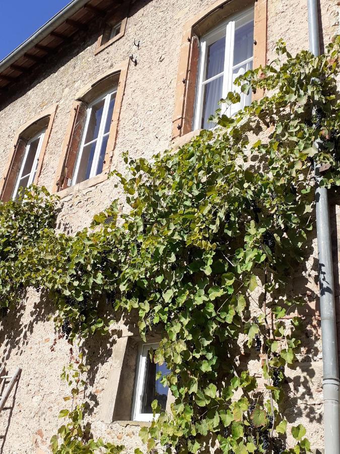 La Grange Aux Oiseaux Apartment Arnaville Bagian luar foto